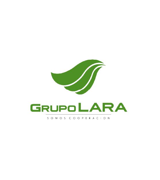 LARAA_Mesa de trabajo 1